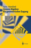 Lineare Algebra: Ein geometrischer Zugang