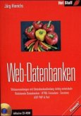 Web-Datenbanken, m. CD-ROM