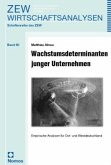 Wachstumsdeterminanten junger Unternehmen