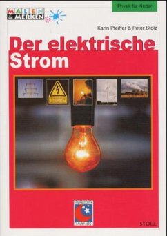 Der elektrische Strom - Pfeiffer, Karin; Stolz, Peter