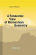A Panoramic View of Riemannian Geometry - Bild 1