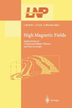 High Magnetic Fields - Berthier, Claude / Levy, Laurent P. / Martinez, Gerard (eds.)