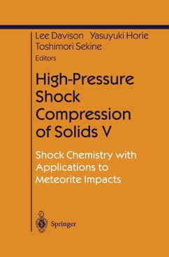 High-Pressure Shock Compression of Solids V - Davison, Lee / Horie, Yasuyuki / Sekine, Toshimori (eds.)