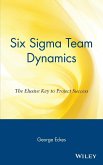 Six SIGMA Team Dynamics
