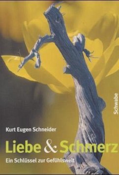 Cover Liebe & Schmerz