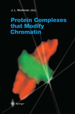 Protein Complexes that Modify Chromatin - Workman, Jerry L. (ed.)
