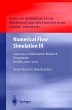Numerical Flow Simulation III - Bild 1