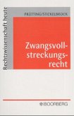 Zwangsvollstreckungsrecht