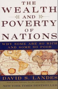 The Wealth and Poverty of Nations - Landes, David S.