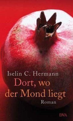 Dort, wo der Mond liegt - Hermann, Iselin C.