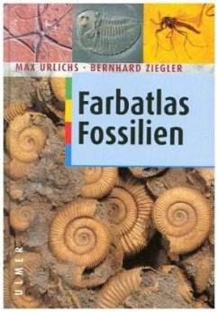 Farbatlas Fossilien - Urlichs, Max;Ziegler, Bernhard