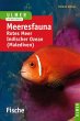 Meeresfauna. Fische - Bild 1
