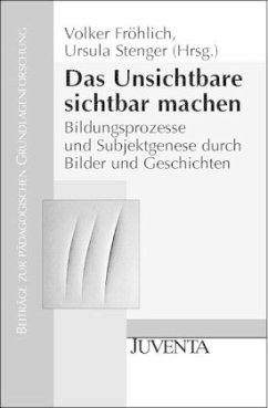 Das Unsichtbare sichtbar machen - Fröhlich, Volker / Stenger, Ursula (Hgg.)