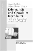 Kriminalität und Gewalt im Jugendalter