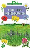 Feld- und Wiesenblumen