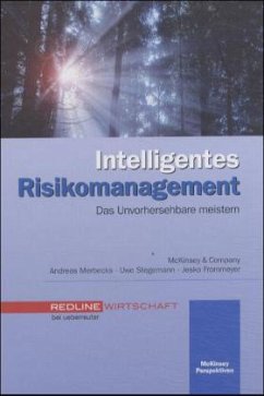 Intelligentes Risikomanagement - Merbecks, Andreas;Stegemann, Uwe;Frommeyer, Jesko