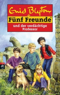 Cover Fünf Freunde und der verdächtige Professor / Fünf Freunde Bd.36