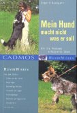 Mein Hund macht nicht was er soll