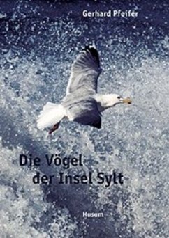 Die Vögel der Insel Sylt - Pfeifer, Gerhard