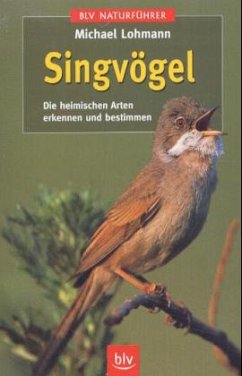 Singvögel - Lohmann, Michael