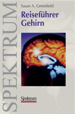 Reiseführer Gehirn - Greenfield, Susan A.