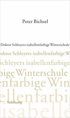 Doktor Schleyers isabellenfarbige Winterschule - Bichsel, Peter