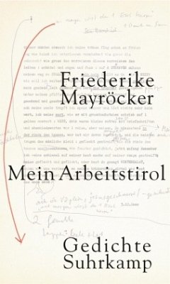 Mein Arbeitstirol - Mayröcker, Friederike