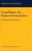 Grundlagen der Kulturwissenschaften