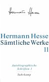 Autobiographische Schriften / Sämtliche Werke 11, Tl.1