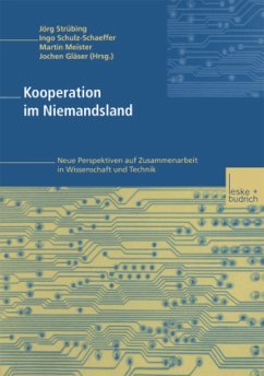 Kooperation im Niemandsland - Strübing, Jörg / Schulz-Schäffer, Ingo / Meister, Martin / Gläser, Jochen (Hgg.)
