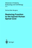 Restoring Function to the Injured Human Spinal Cord
