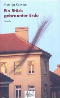 Cover Ein Stück gebrannter Erde