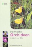 Heimische Orchideen in Wort und Bild