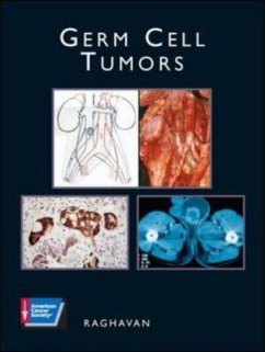 Cover Germ Cell Tumors, w. CD-ROM