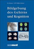 Bildgebung des Gehirns und Kognition Bildgebung des Gehirns und Kognition