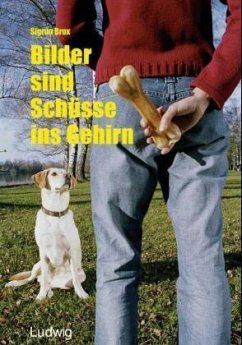 Cover Bilder sind Schüsse ins Gehirn