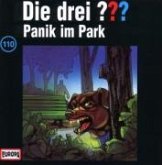 Panik im Park / Die drei Fragezeichen - Hörbuch Bd.110 (1 Audio-CD)