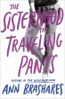 The Sisterhood of the Traveling Pants - Bild 1
