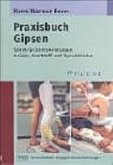 Praxisbuch Gipsen