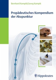 Propädeutisches Kompendium der Akupunktur - Kampik, Bernhard; Kampik, Georg