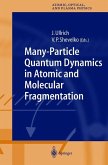 Many-Particle Quantum Dynamics in Atomic and Molecular Fragmentation