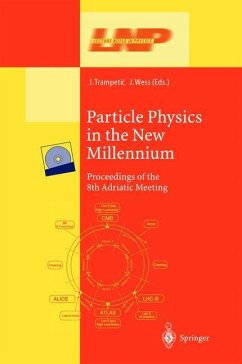 Particle Physics in the New Millennium - Trampetic, Josip / Wess, Julius (eds.)