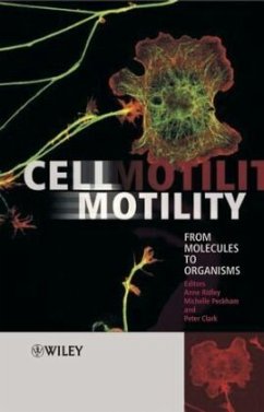 Cell Motility - Ridley, Anne / Peckham, Michelle / Clark, Peter (Hgg.)