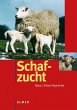 Schafzucht - Bild 1