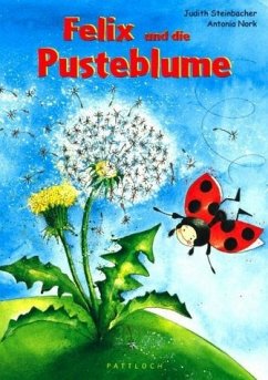 Felix und die Pusteblume, Mini-Ausgabe - Steinbacher, Judith; Nork, Antonia