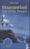 Sturmwind - der weiße Hengst