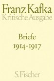 Briefe 1914-1917 / Briefe Franz Kafka Bd.3 (Kritische Ausgabe)