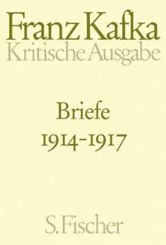 Briefe 1914-1917 / Briefe Franz Kafka Bd.3 (Kritische Ausgabe) - Kafka, Franz