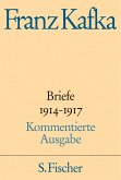 Briefe 1914-1917 / Briefe Franz Kafka Bd.3 (Kommentierte Ausgabe)