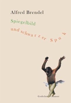 Spiegelbild und schwarzer Spuk - Brendel, Alfred